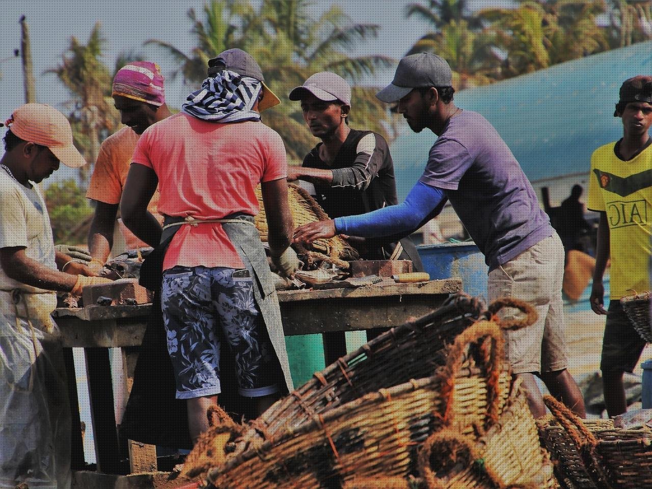 Las mejores marcas de Mas vendas perros pata Mas vendas postoperatorias Mas vendas postoperatorias vendas tapar ojos