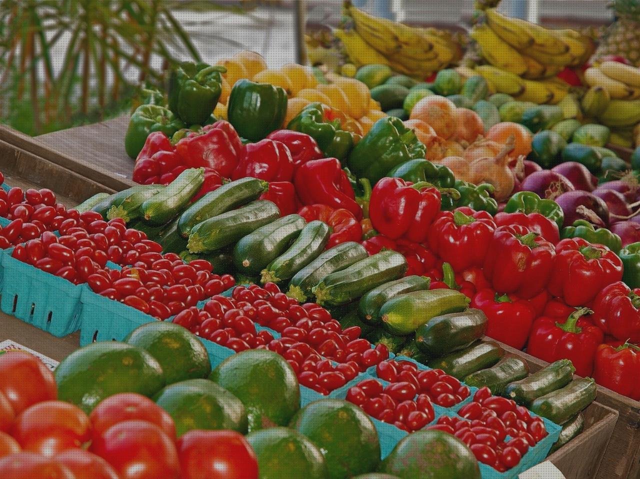 Mejores 18 vendas tipos asintec