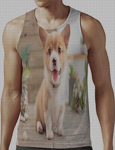 Las mejores 100 wales pic ultra 100 dental irrigador