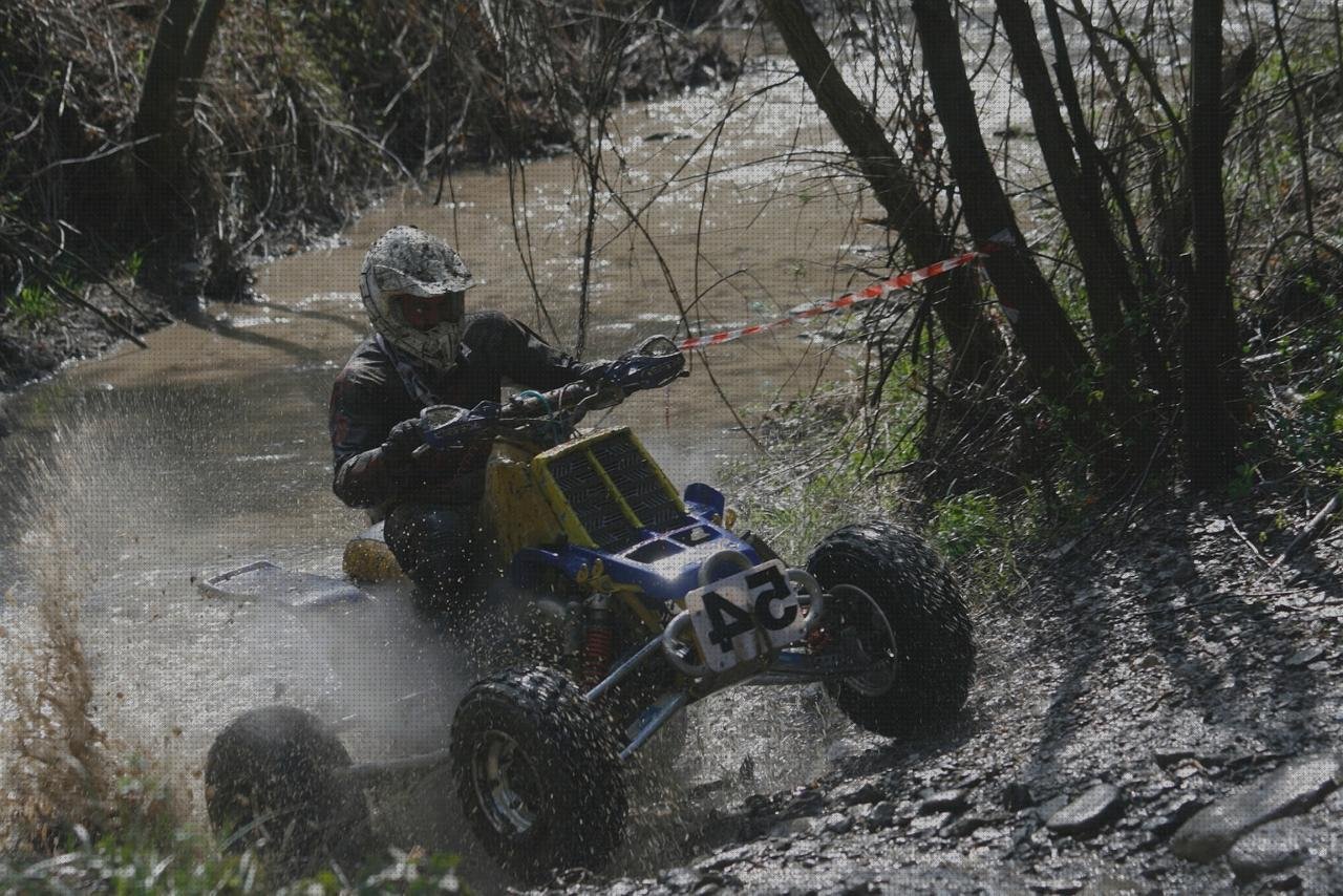 Opiniones de los 19 mejores Yamaha Banshee Termómetros