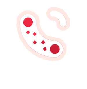 Dominiomedico